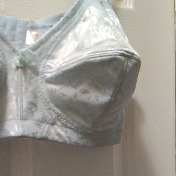 COPY - Nwot Light Blue Bra 44D - Picture 3 of 8